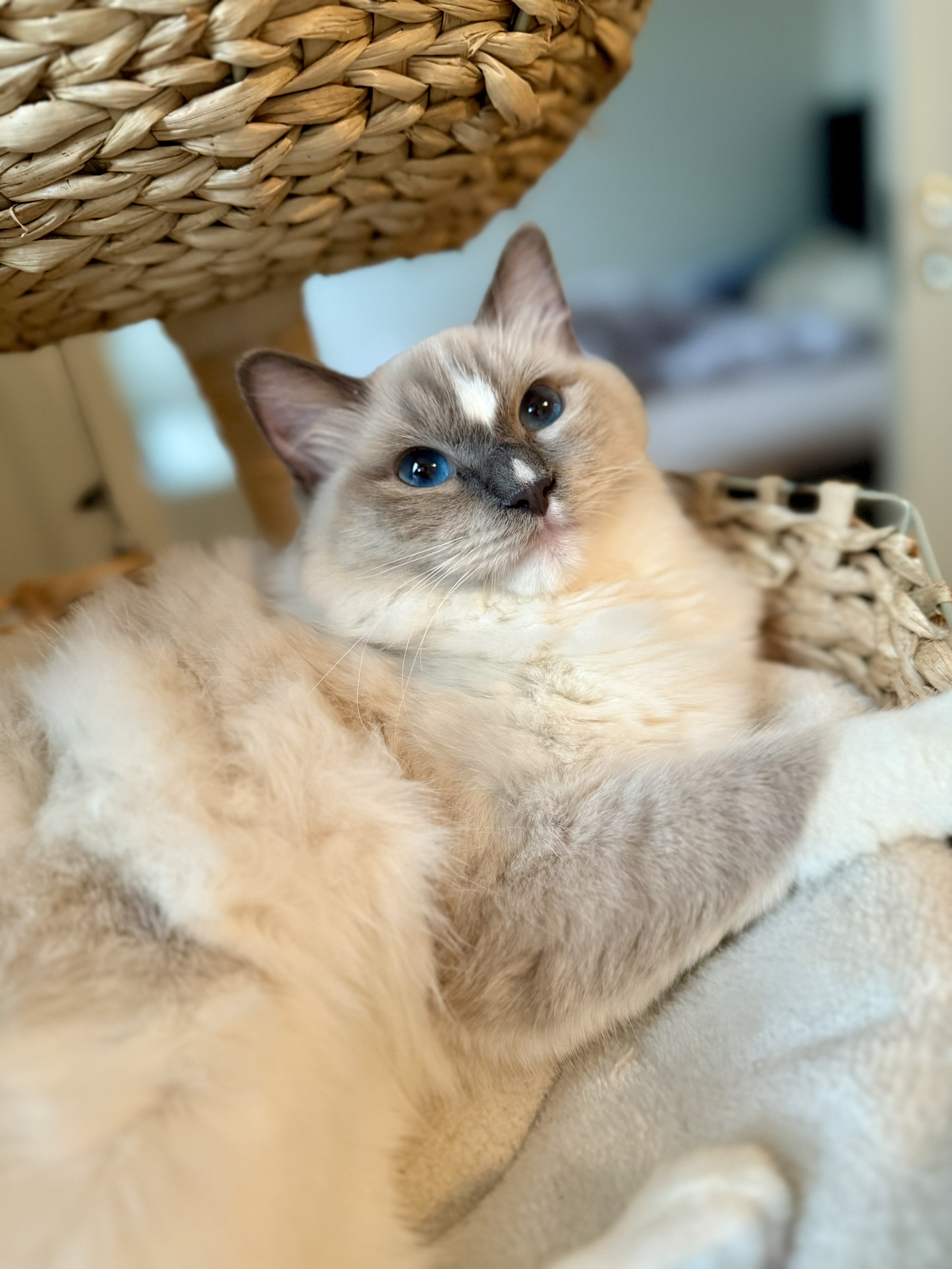 Lydia